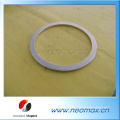 large neodymium speaker magnet